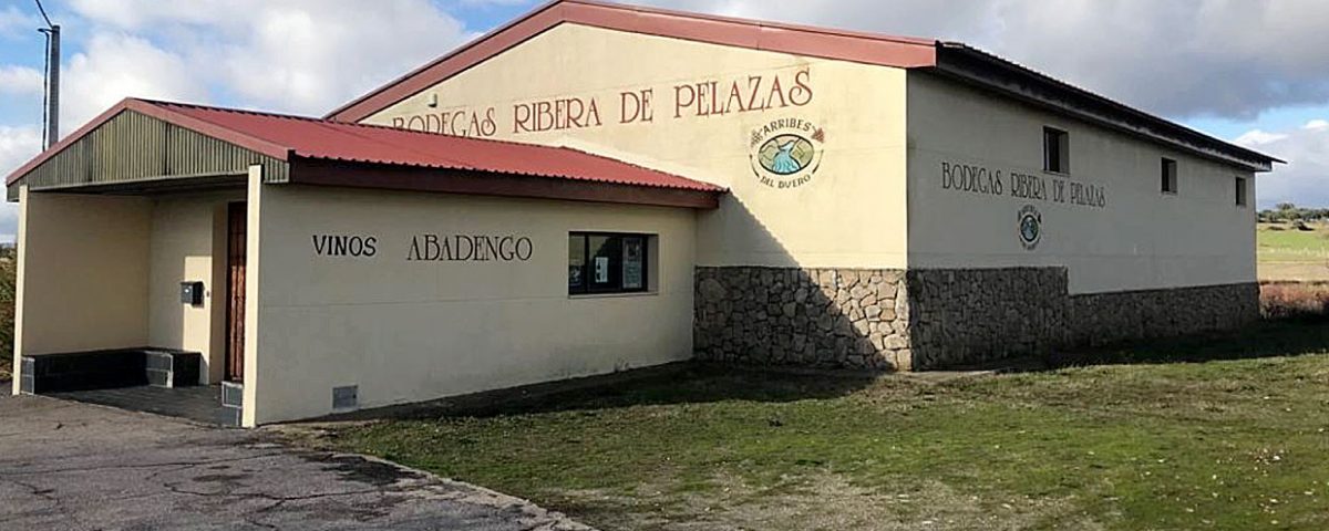 Ribera de Pelazas - Bodega