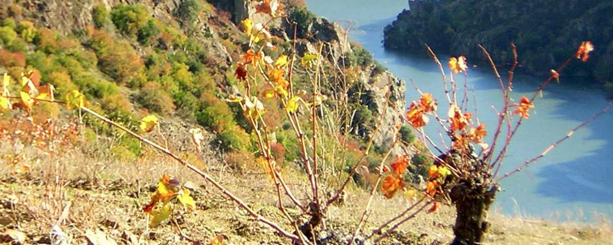 La Setera - paraje