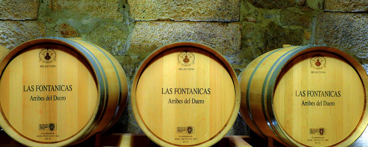 Las Fontanicas - barricas