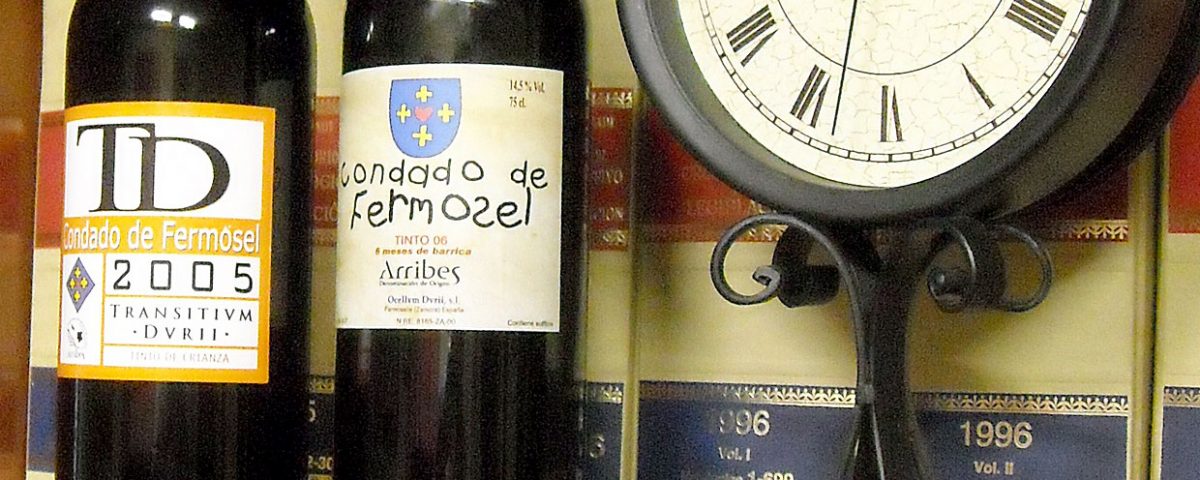 Ocellum Durii - Condado de Fermoselle