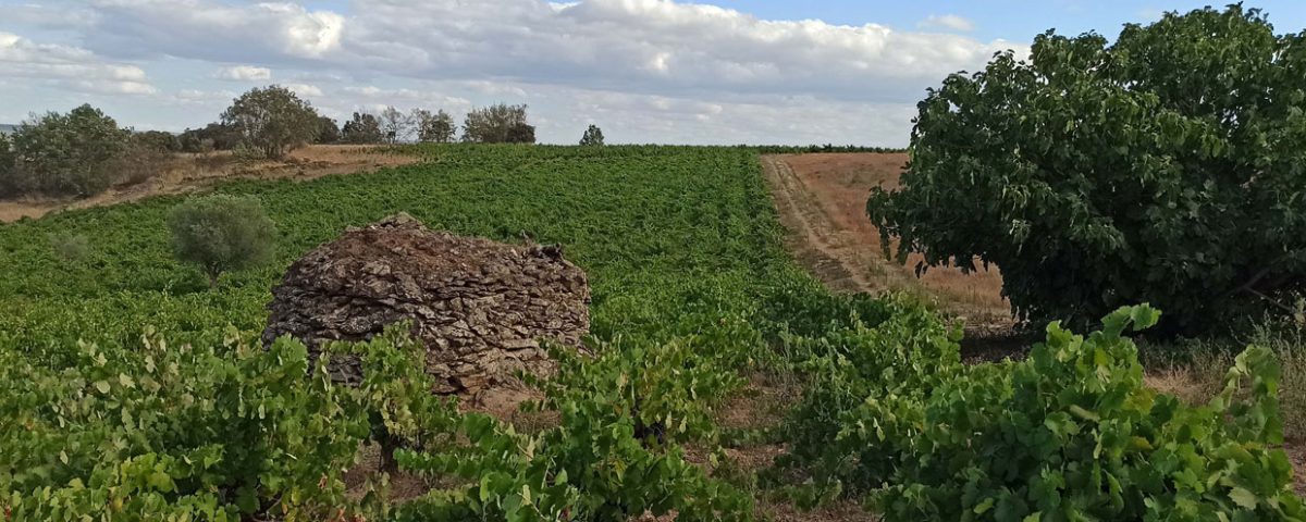 Al pie del Abismo