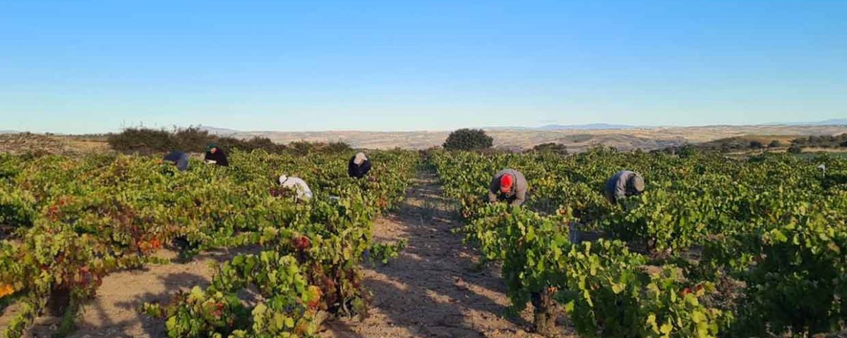 Quinta de mil