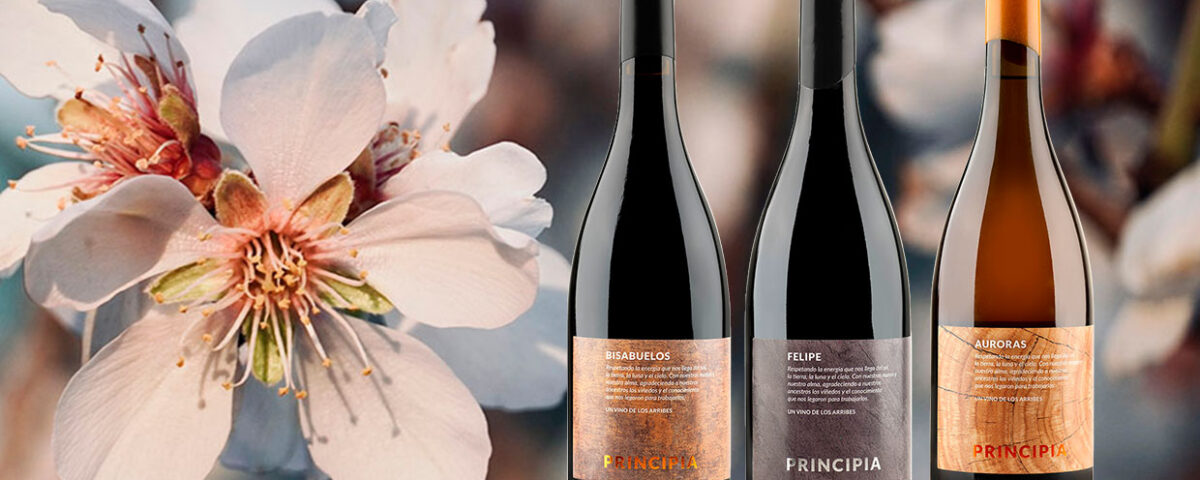 Bodegas Principia naturalis