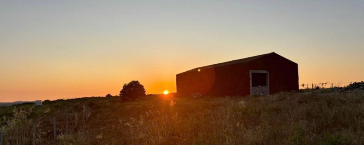 Mansión Garrido - Bodega